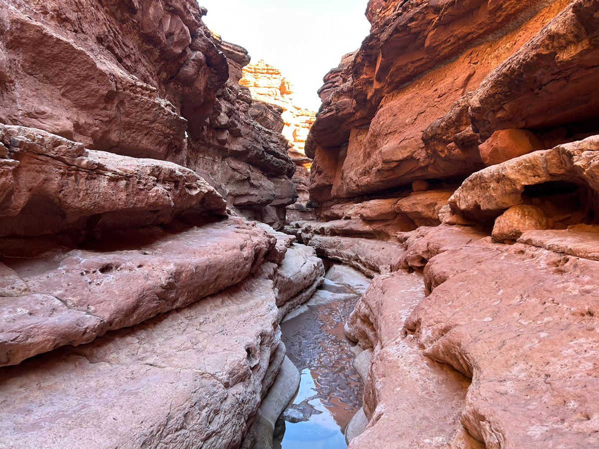 Hike the multi-layered narrows of Cathedral Wash - WildPathsAZ