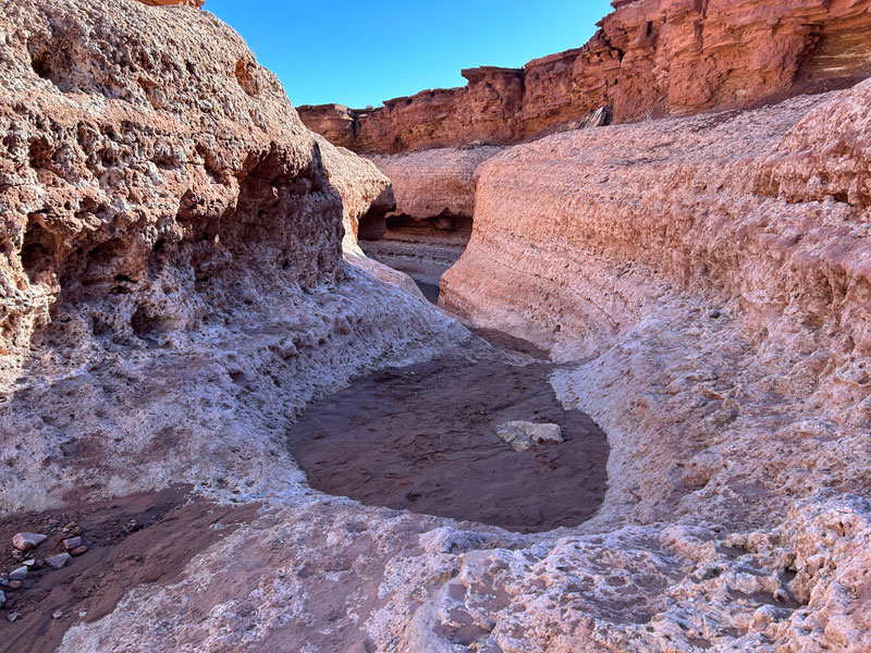 Cathedral Wash Glen Canyon Recreation Area Arizona