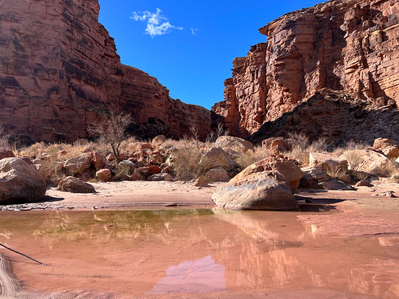 Beach at the end of Cathedral Wash