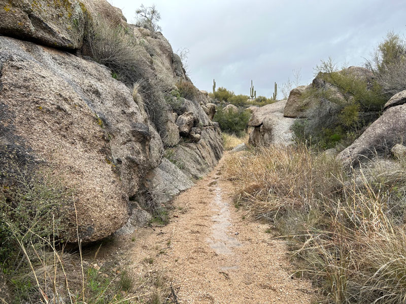 Granite wash on Coyote Canyon Trail