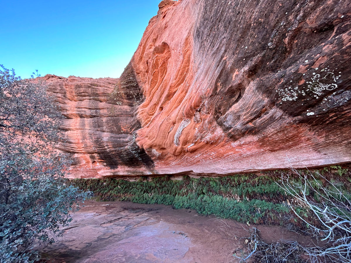 Hanging Gardens in Page, Arizona