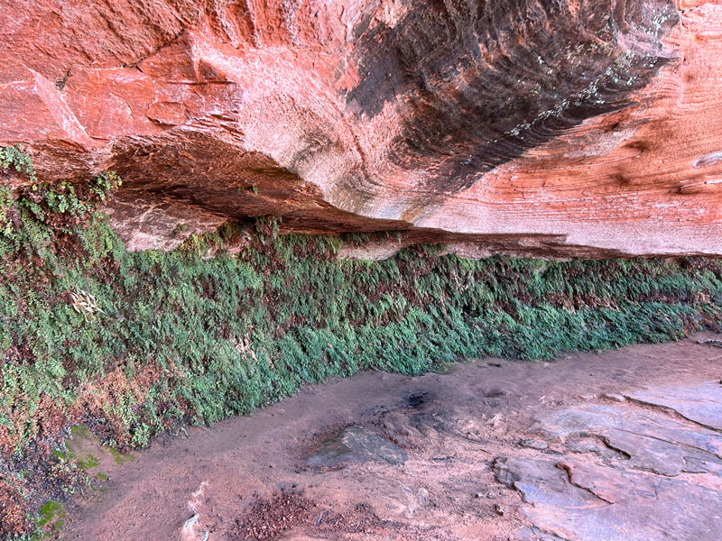 Hanging Gardens in Page, Arizona