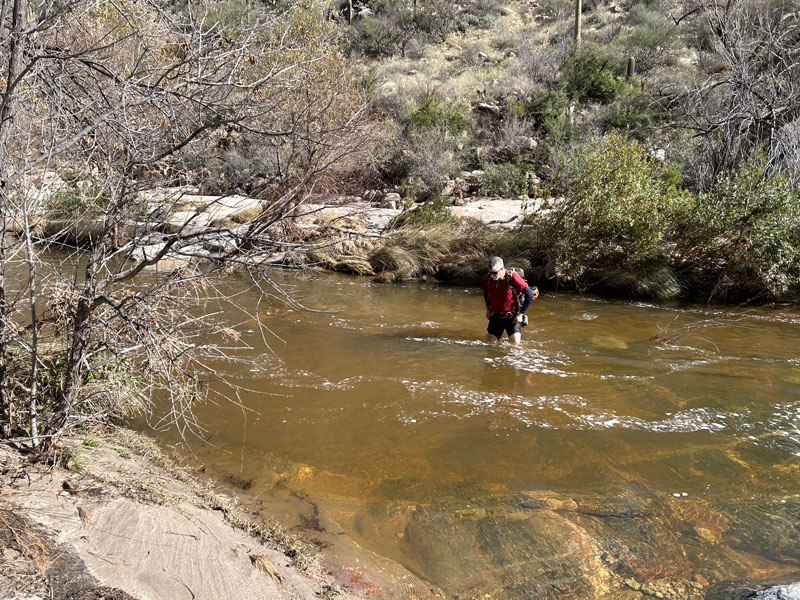 Sabino Canyon Saguaro National Park Arizona #bhumidevi