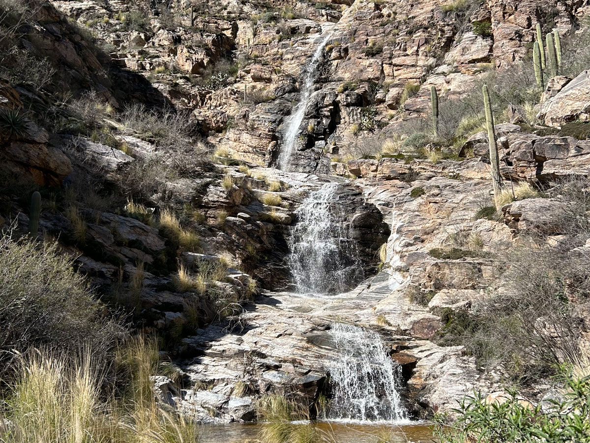 Sabino Canyon Saguaro National Park Arizona #bhumidevi