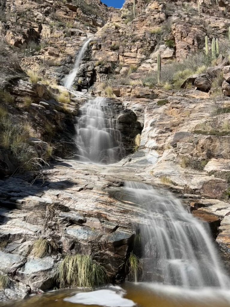 Sabino Canyon Saguaro National Park Arizona #bhumidevi