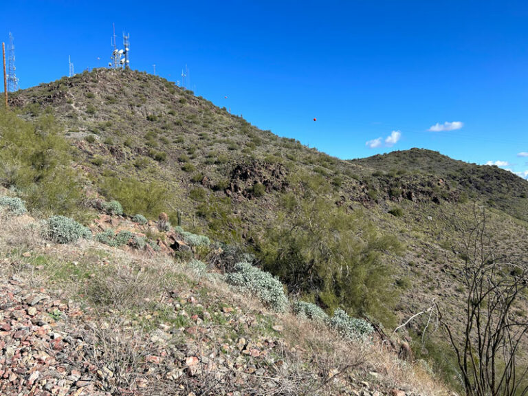 Hike Shaw Butte and North Mountain Loop WildPathsAZ
