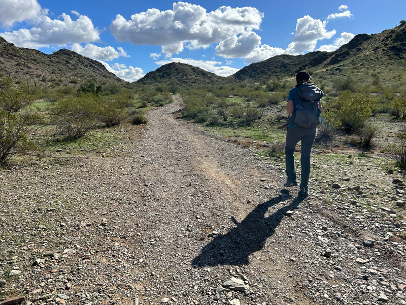 Shaw Butte Trail toward North Mountain