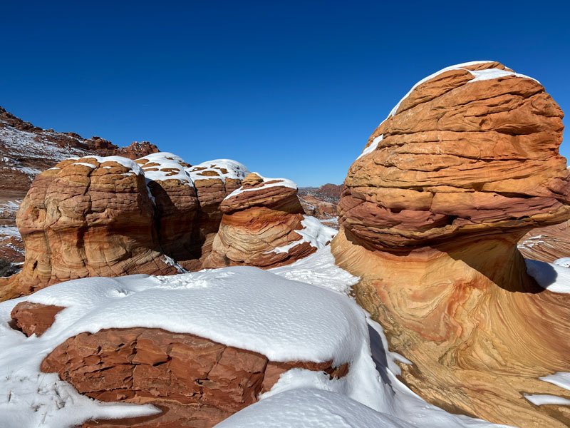 Toadstools in North Coyote Buttes, Arizona