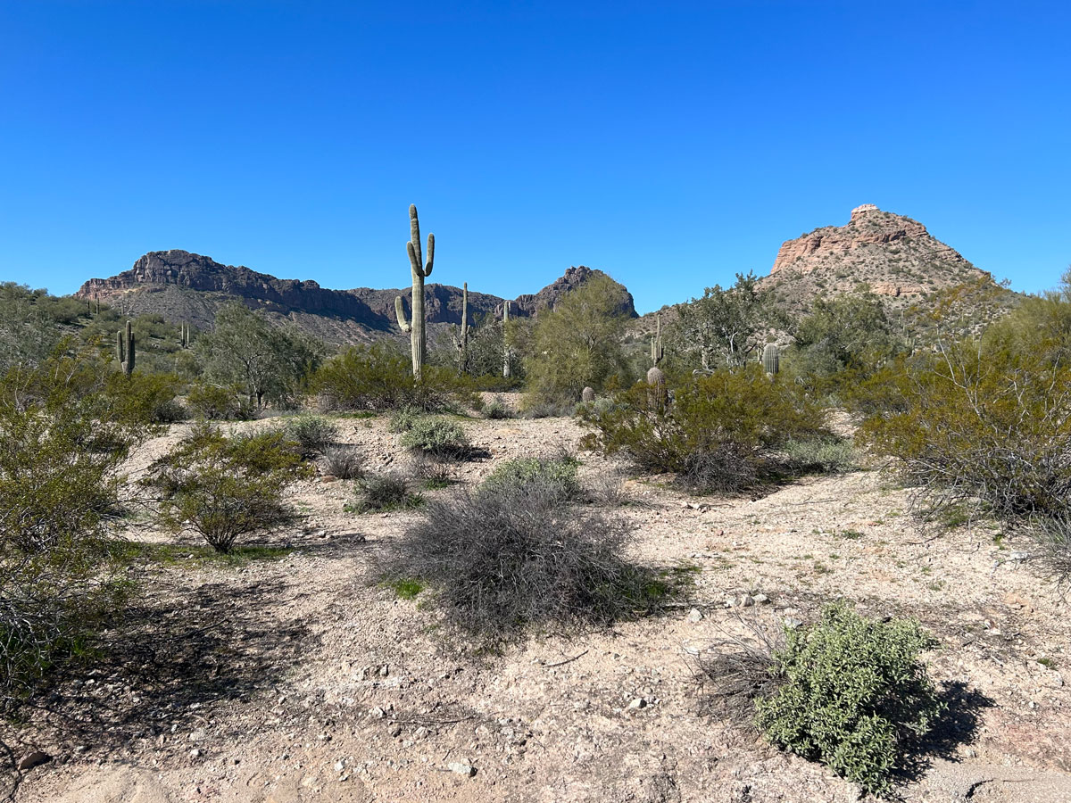 Rock Peak Wash Trail San Tan