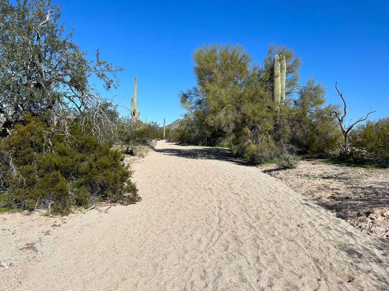 Rock Peak Wash