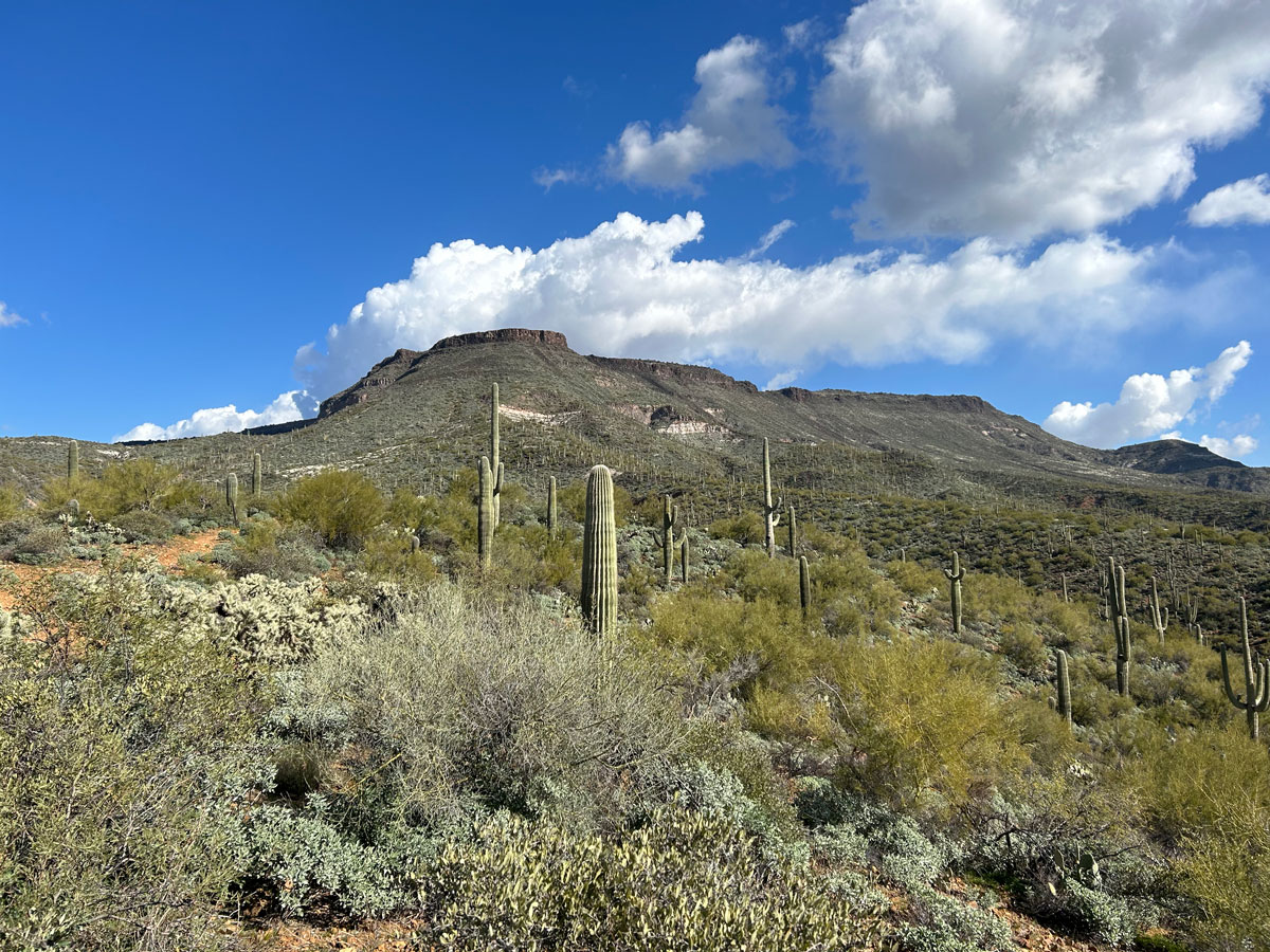 Skull Mesa near Spur Cross Conservation Area