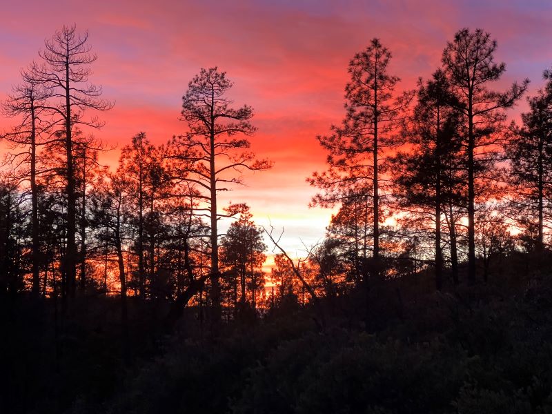 Sunset at Grand Canyon