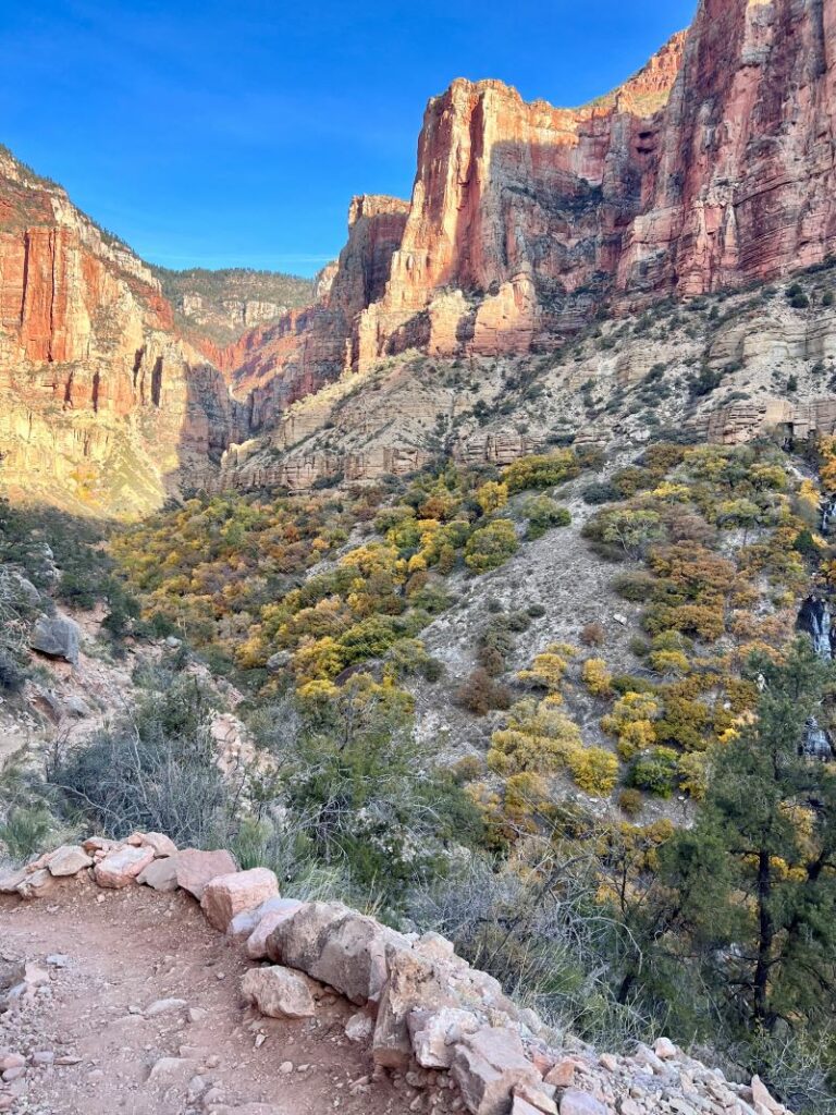 Fall colors at Manzanita rest area Grand Canyon