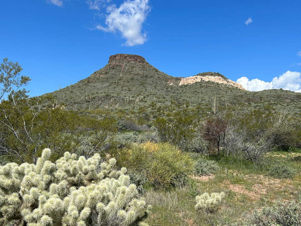 Brown's Mountain in McDowell Sonoran Preserve Scottsdale Arizona