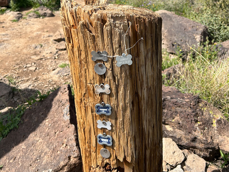 A little pet cemetery on Brown's Mountain