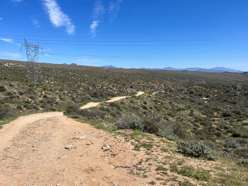 Blue Wash Trail