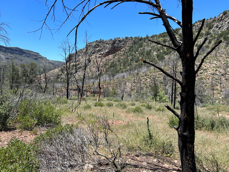 Hiking The Bob Bear Trail