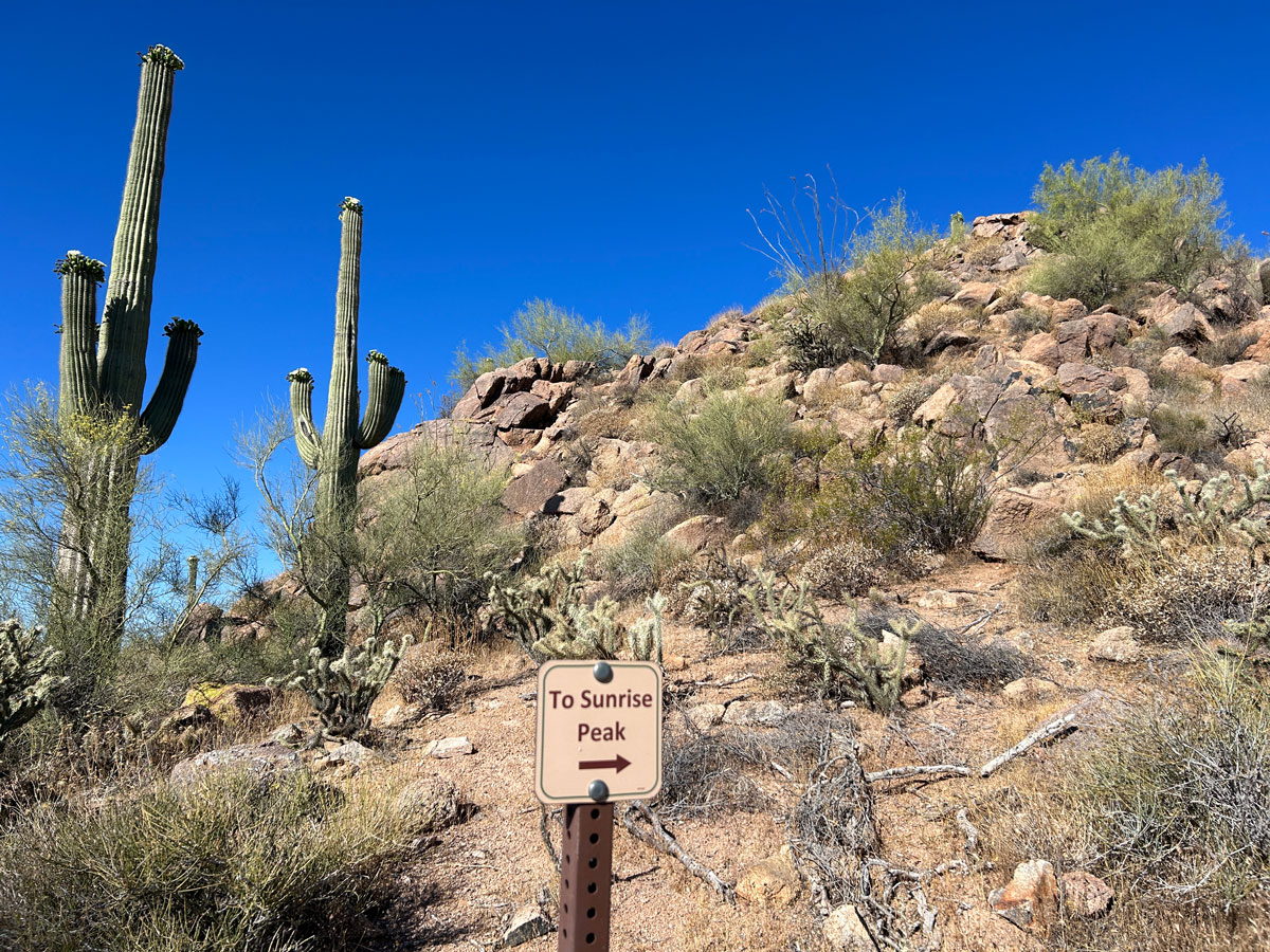 Sunrise Peak McDowell Sonoran Preserve Arizona