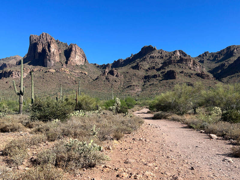 Carney springs outlet trailhead