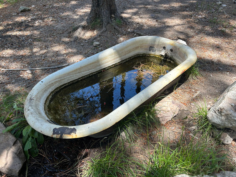 Bathtub Spring