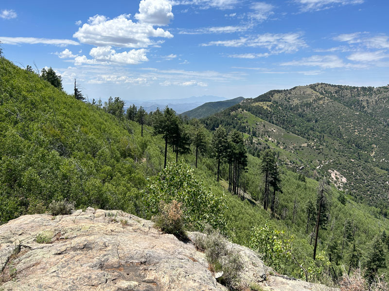 Crest Trail Miller Peak Wilderness Huachuca Mountains