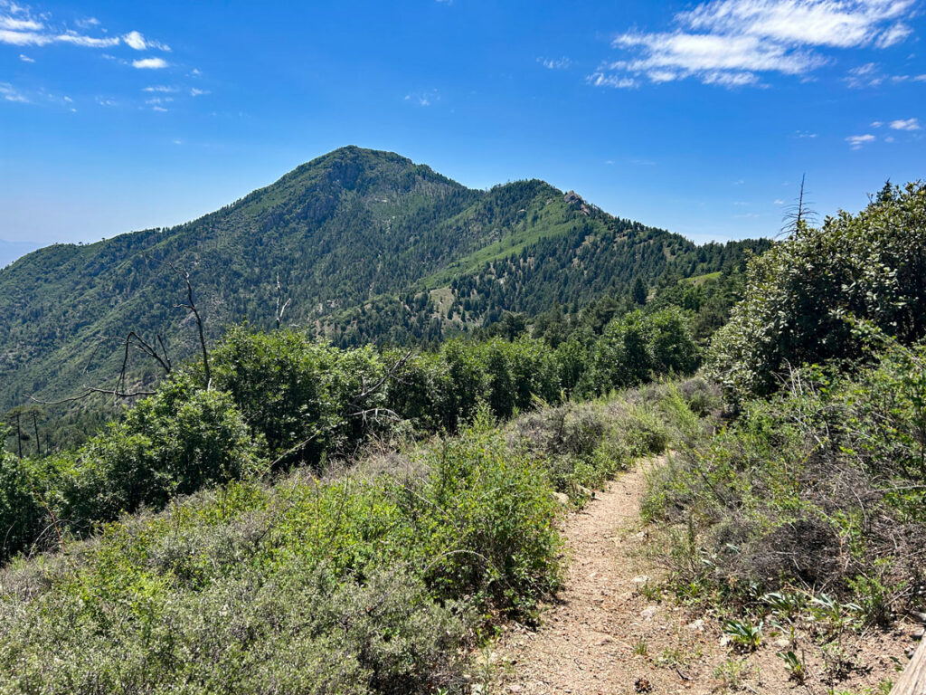 Miller Peak in the Huachuca Mountains Sierra Vista Arizona