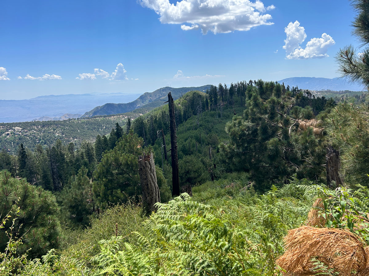 Hike Lemmon Loop for views and a refreshing swim WildPathsAZ