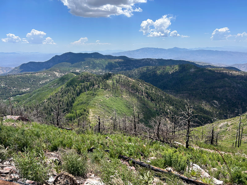 View from the top of Mount Lemmon