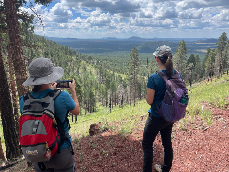 Views from Kendrick Peak Trail