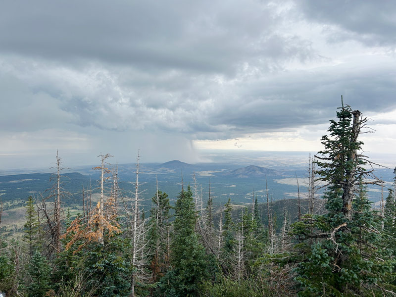 A storm viewed from Kendrick Peak