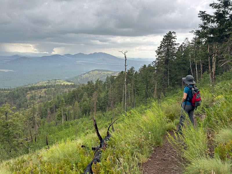 View from Kendrick Peak Trail