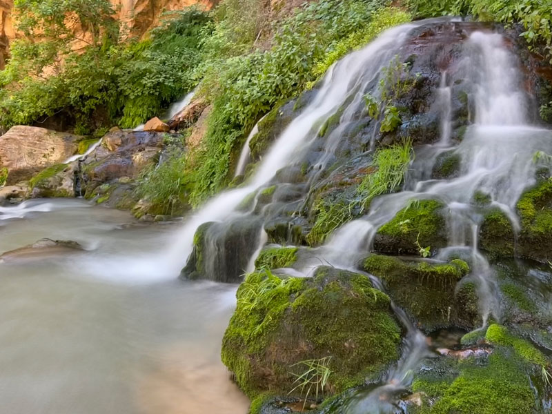 Big Springs in the narrows at Zion National Park