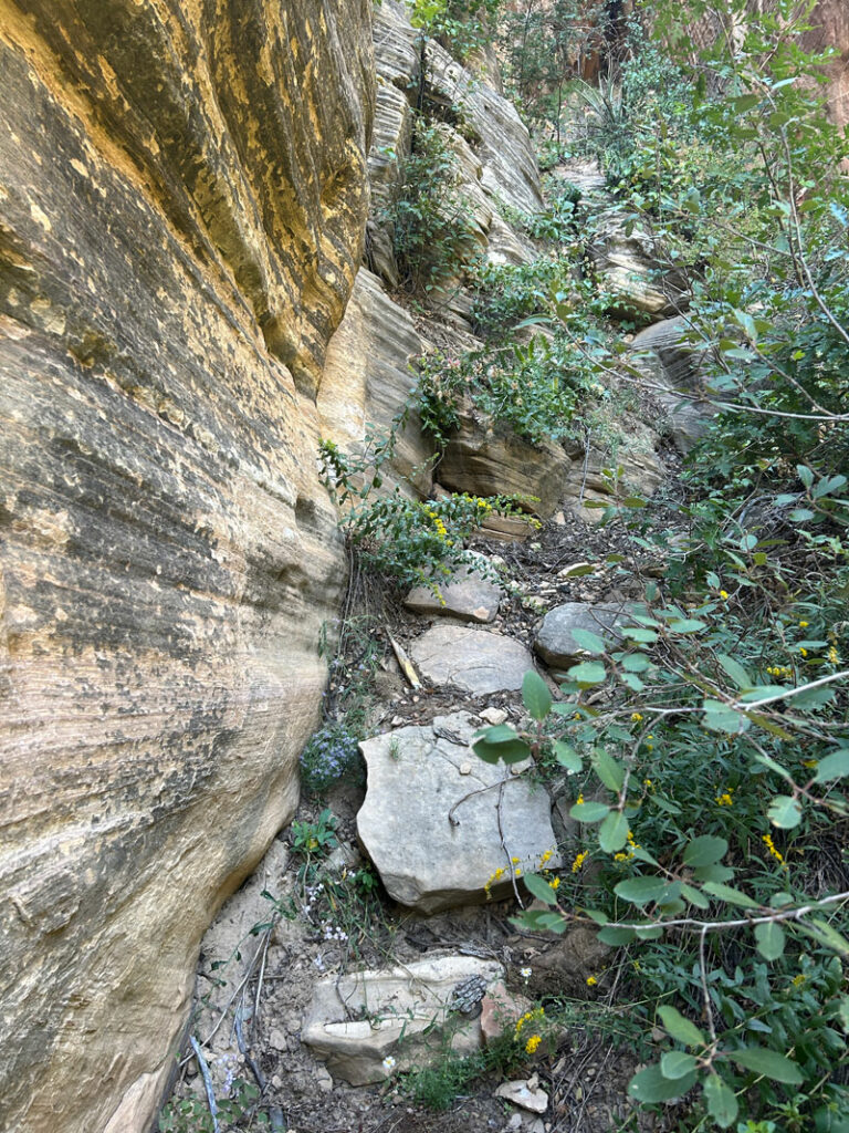 The wrong way on Sterling Pass Trail