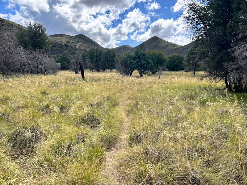 Reavis Ranch Trail #109