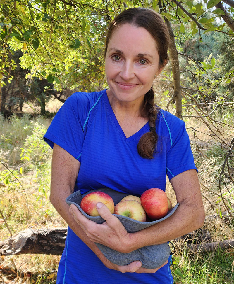Harvesting apples at Reavis Ranch in the Superstition Wilderness