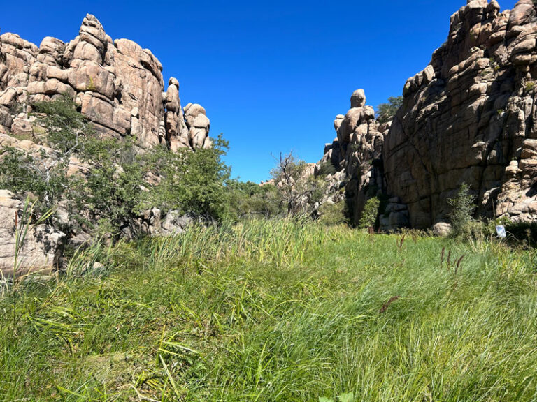 A wonderland of rock formations on a hike of Watson Lake Loop WildPathsAZ