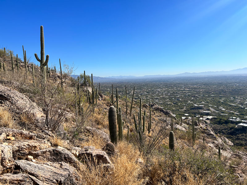 View of Tucson from Pontatoc Ridge