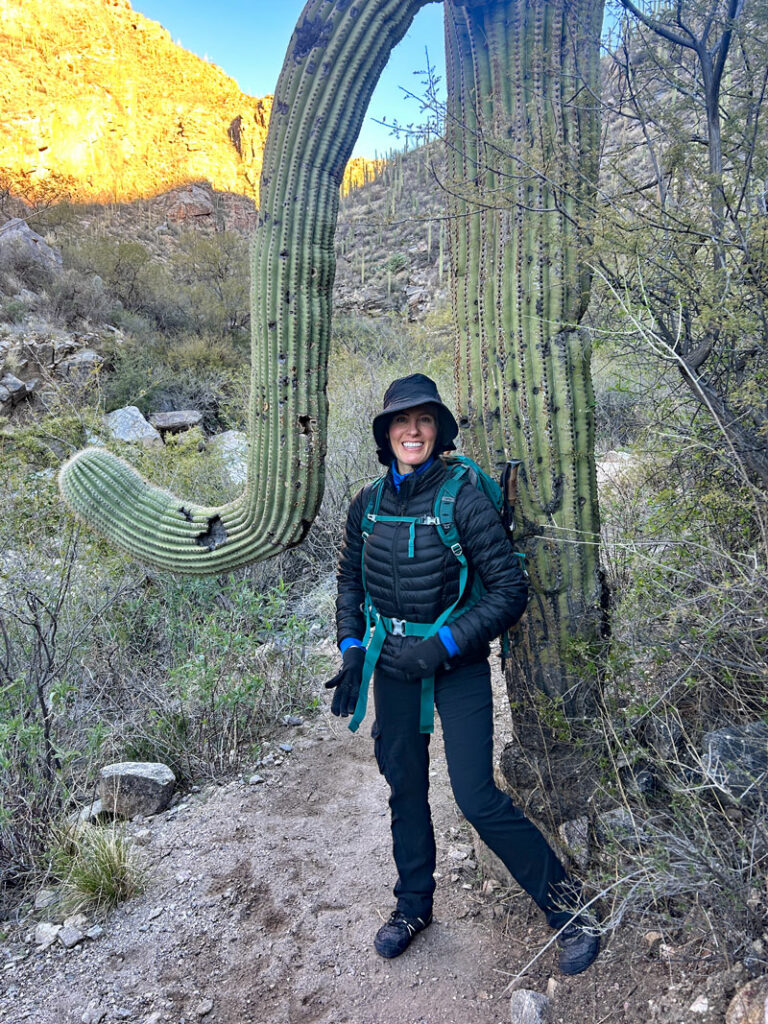 A saguaro cactus along Ventana Canyon Trail