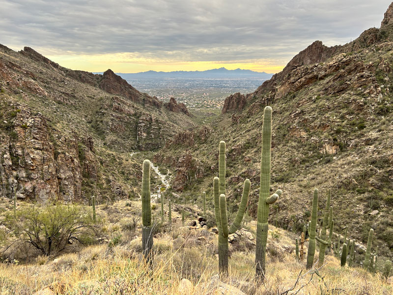 View down Ventana Canyon Trail, Tucson, Arizona