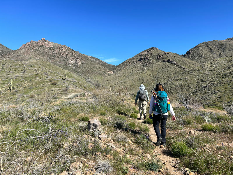 Hiking up JF Trail toward Tortilla Pass in the Superstition Mountains