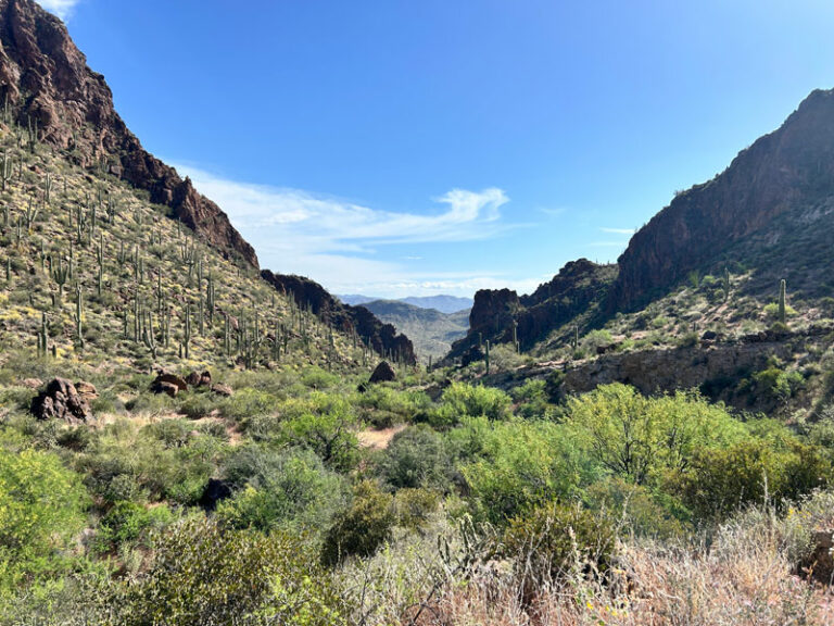 Hike To The Great Views At Governors Peak - Wildpathsaz