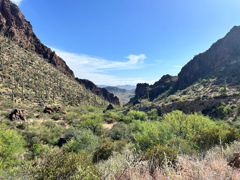 View down the canyon on the trail to Governors Peak