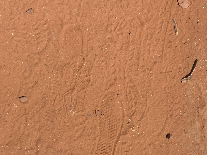 Footprints on Long Canyon Trail