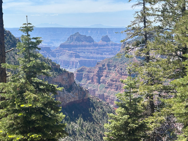 View of the Grand Canyon from Widforss Trail