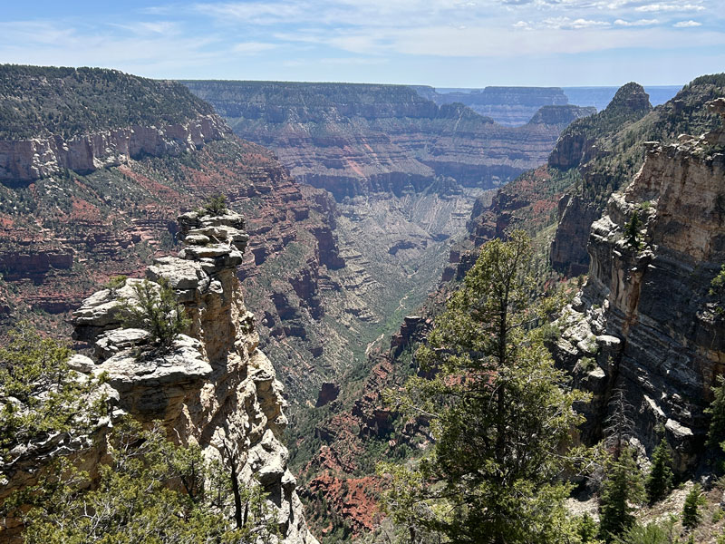 View of the Grand Canyon from Widforss Trail