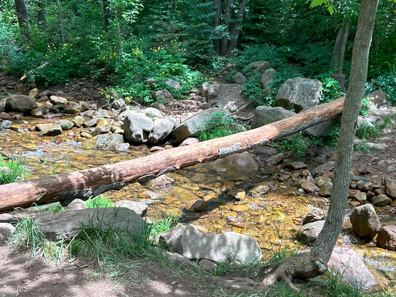 Log across a creek in See Canyon