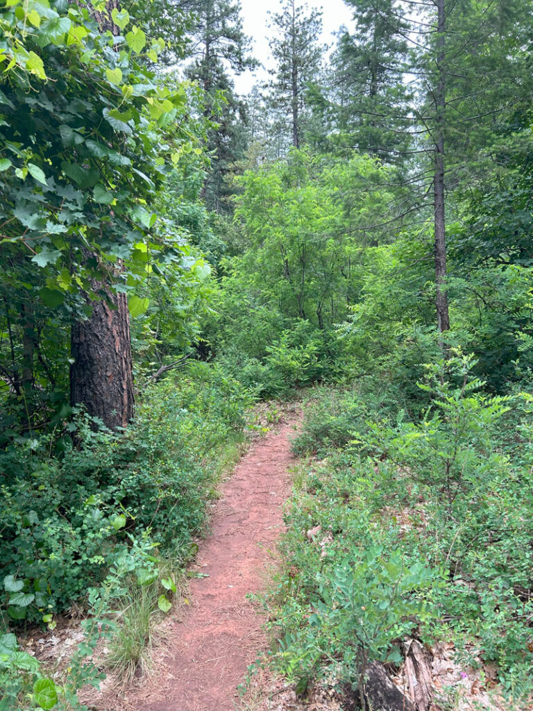 Highline Trail near See Canyon