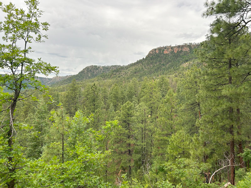 View of the Mogollon Rim from Highline Trail