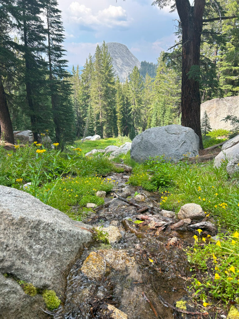 Fairview Dome as viewed from the John Muir Trail in Yosemite National Park