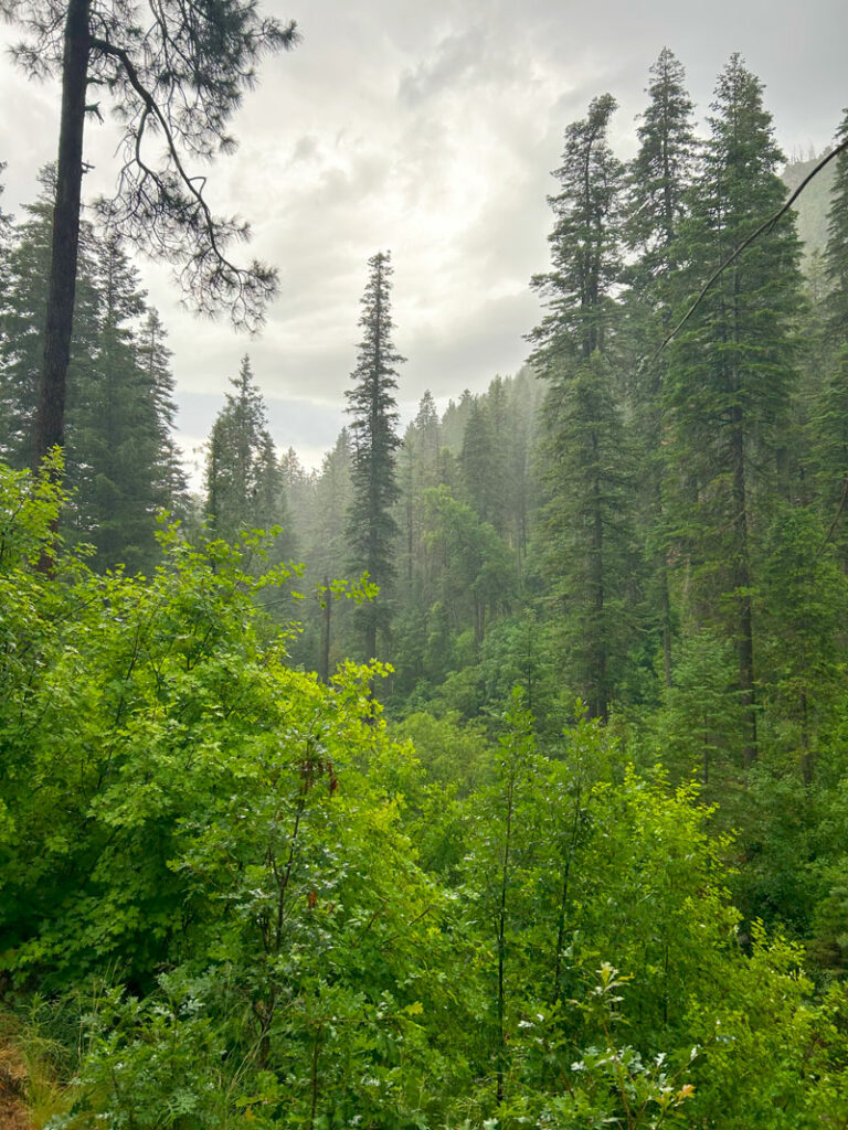 View from See Canyon Trail